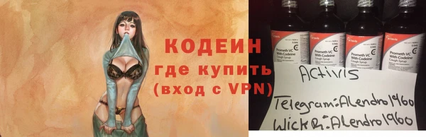 a pvp Новодвинск