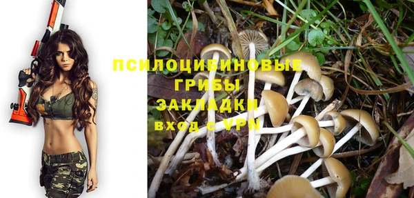 a pvp Новодвинск