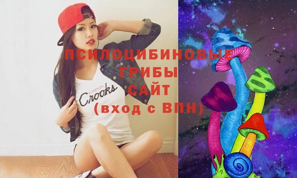 MDMA Premium VHQ Новозыбков