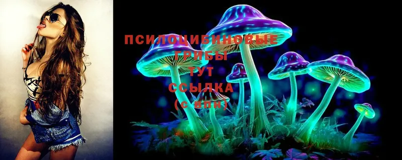 Галлюциногенные грибы Psilocybine cubensis  MEGA ССЫЛКА  Нижняя Тура 